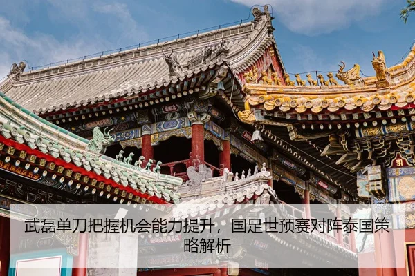 wu-lei-dan-dao-ba-wo-ji-hui-neng-li-ti-sheng-guo-zu-shi-yu-sai-dui-zhen-tai-guo-ce-lve-jie-xi-2-270.jpg